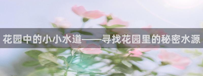 球盟会地址
