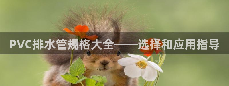球盟会app最新地址下载