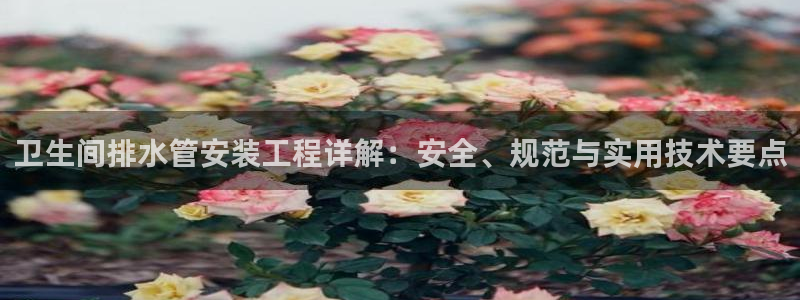 球盟会网址多少