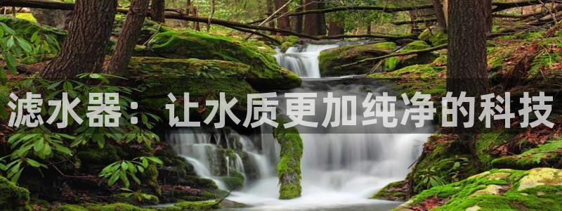 球盟会和中欧合作吗