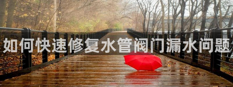 球盟会优惠券