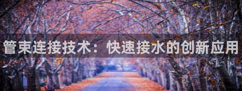 球盟会qmh - 球盟会官方网站