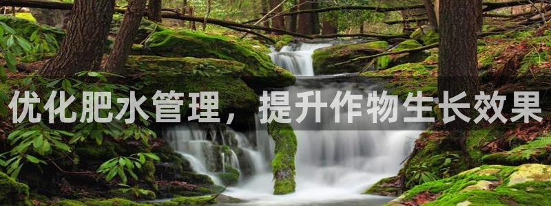 球盟会黑
