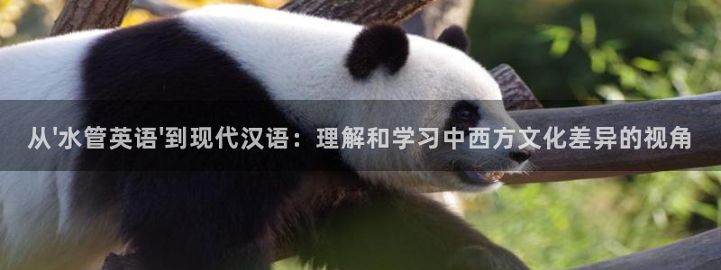 球盟会有限公司怎么样