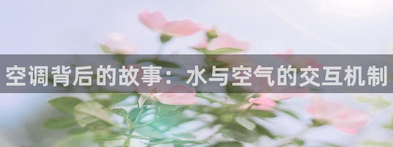 球盟会官方平台入口