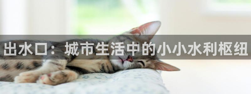 球盟会网页版