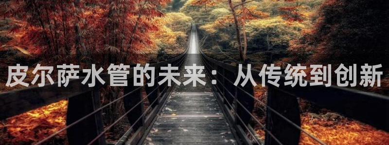 球盟会最新活动