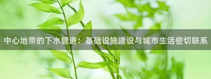球盟会黑台子