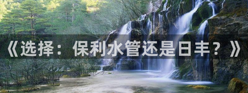 球盟会登录平台