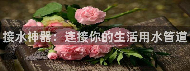球盟会优惠领取网站