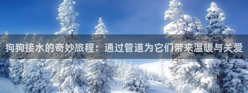 球盟会体验金球奖吗