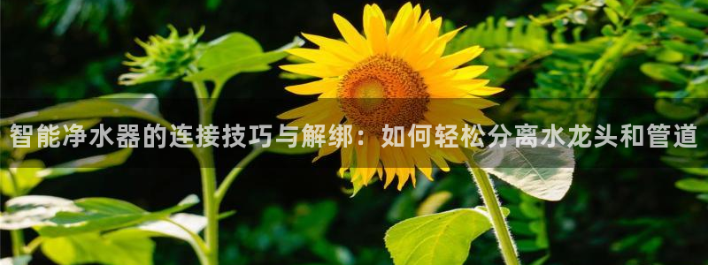 球盟会app最新地址下载