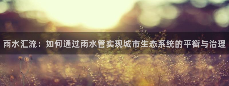 球盟会和中欧合作吗