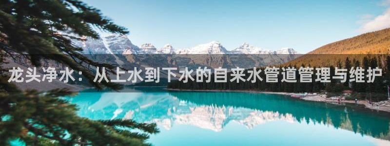 球盟会地址