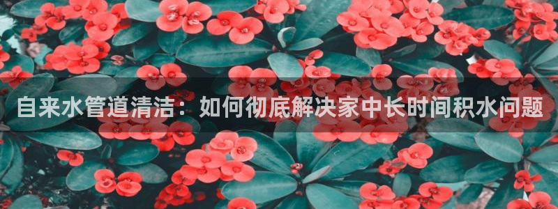球盟会APP下载
