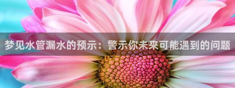 球盟会能退钱吗