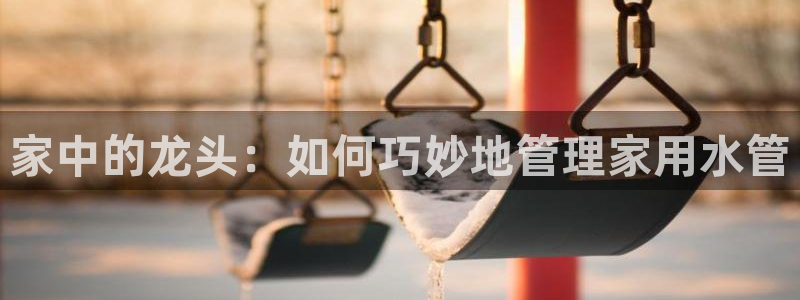 球盟会类似的网站
