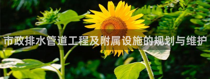 球盟会中国官方网站