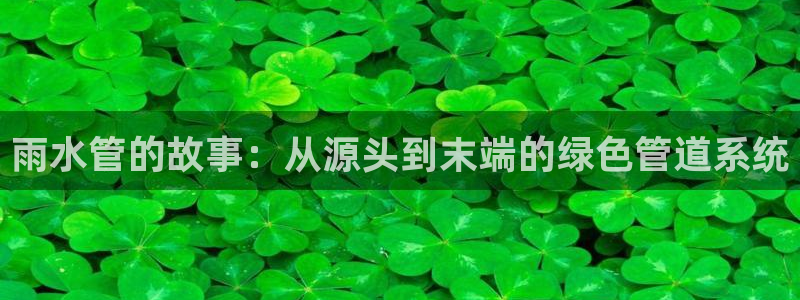 球盟会官方网页登录