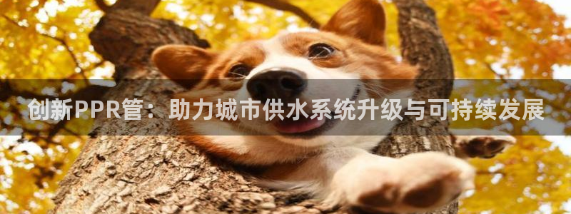 球盟会app最新地址下载安装