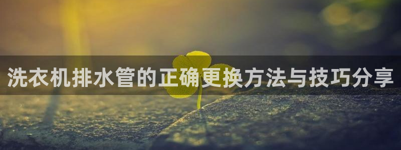球盟会平台怎么样