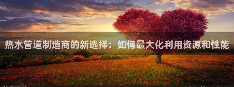 球盟会官网网页版