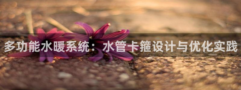 球盟会官方网页登录