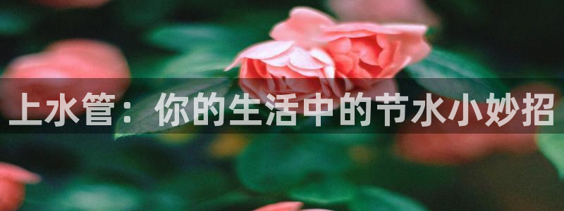 球盟会乐虎