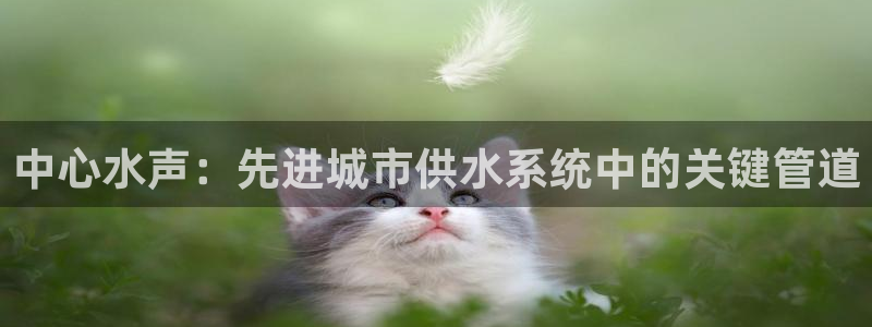 球盟会邮箱