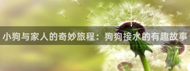 千亿球盟会