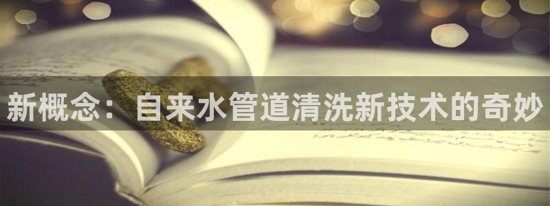 球盟会头号玩家