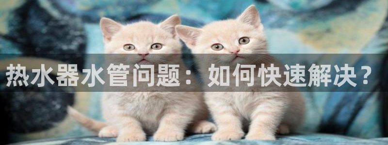 球盟会App