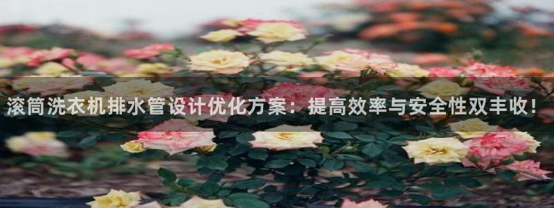 球盟会可以提现么