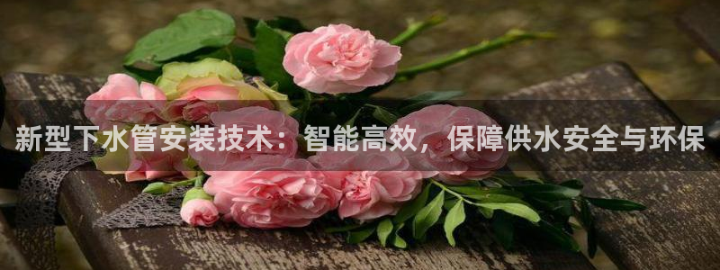 球盟会连接