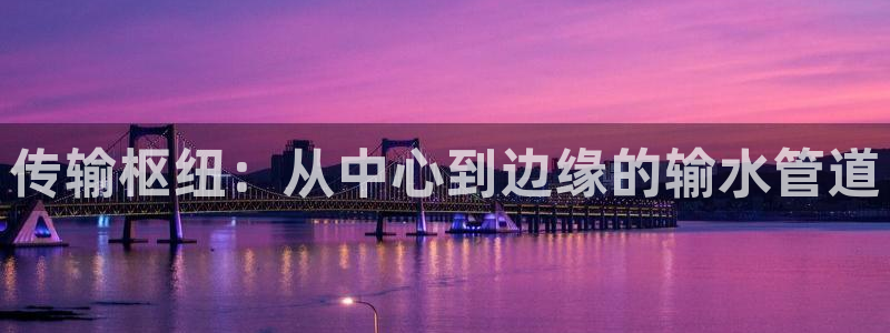 球盟会进不去