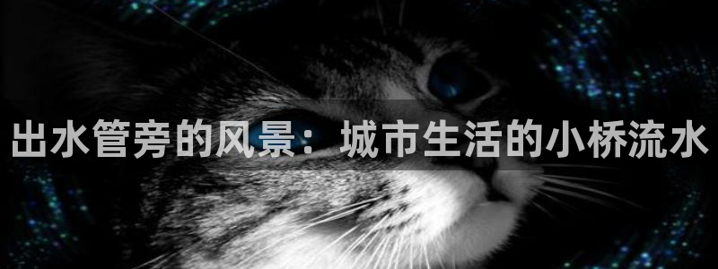 球盟会可以提现么