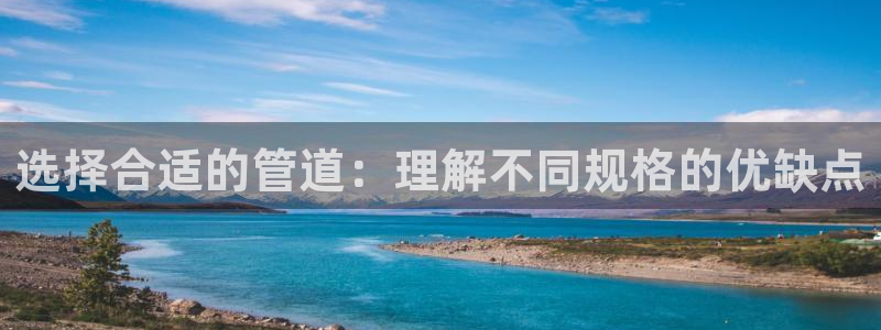 球盟会平台会黑单吗