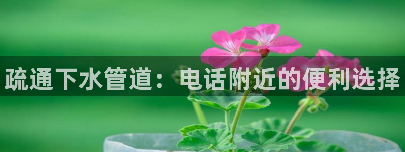 球盟会最新地址备用