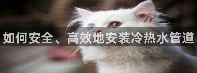 球盟会有没有黑单的人