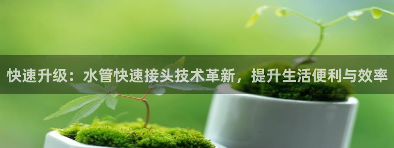 球盟会官方网站入口