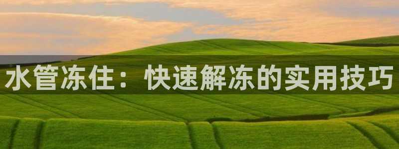 球盟会在线登录官网