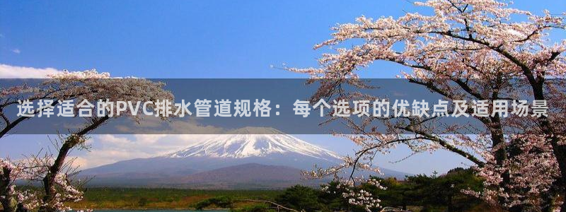 球盟会进不去吗