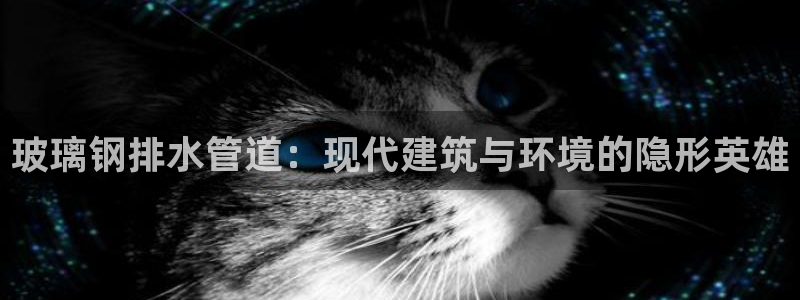 球盟会qm8597