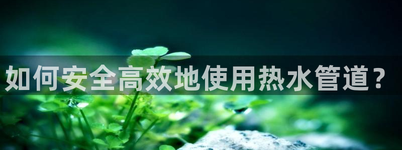 球盟会封禁