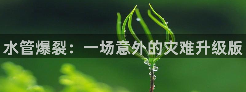 球盟会登录网址
