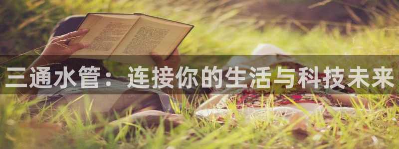 球盟会平台怎么样