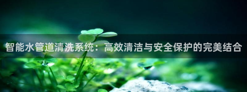 球盟会能提现吗