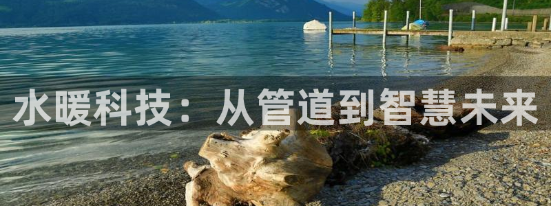 球盟会qmh电子网页版登录