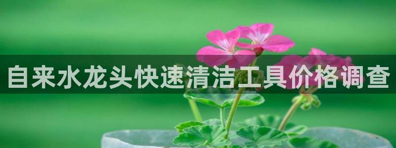 球盟会官方下载