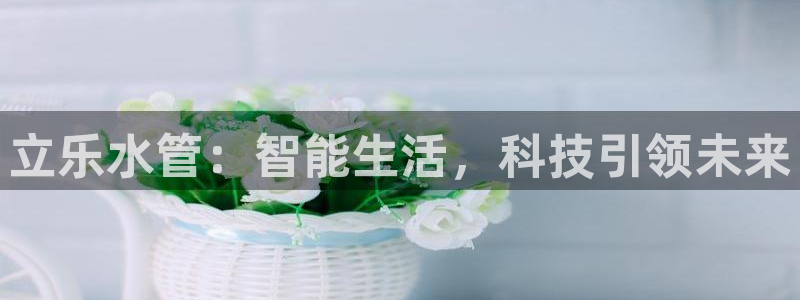 球盟会进不去球员吗